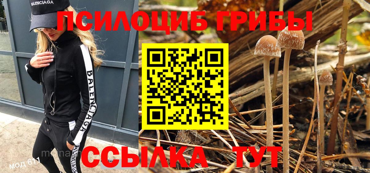 Псилоцибиновые грибы Psilocybe Советский